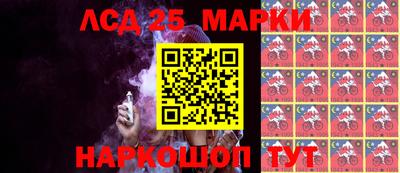 крисы Абакан