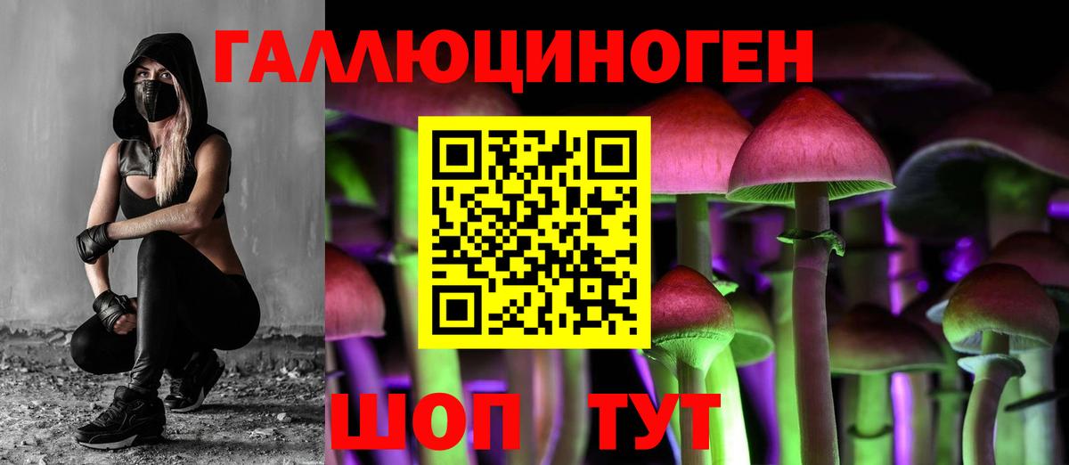 Ангарск  Галлюциногенные грибы Cubensis  Вход с VPN  Галлюциногенные грибы прущие грибы 