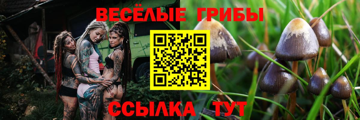 Галлюциногенные грибы Cubensis Ангарск